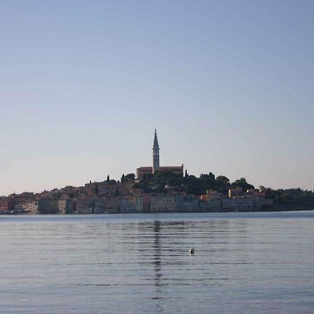 Apartment In Rovinj/Istrien 11533 المظهر الخارجي الصورة